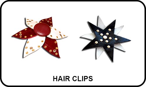 Hair_Clips_Small_Pic